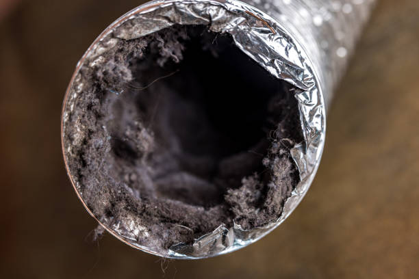 Best HVAC Air Duct Cleaning  in Lakeview, OH
