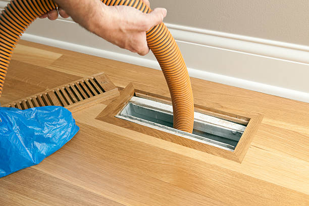 Best Home Air Vent Cleaning  in Lakeview, OH