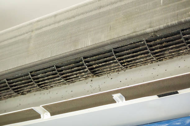 Best Air Duct Cleaning Cost  in Lakeview, OH